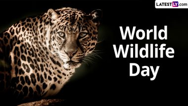 World Wildlife Day 2024 Images & HD Wallpapers for Free Download Online: Quotes and Messages To Share and Celebrate the Day With Conservation and Compassion